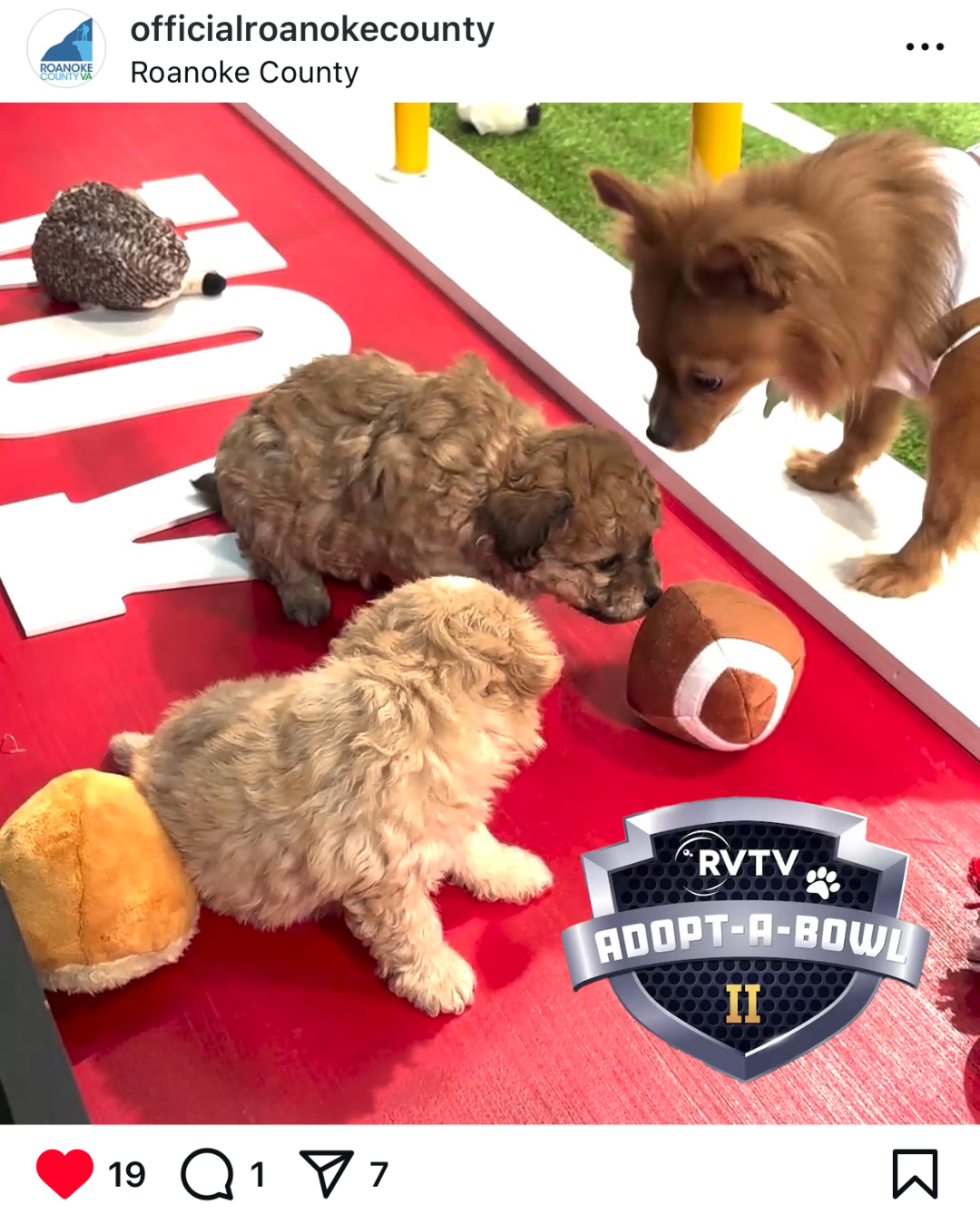 Video still from the Adopt-A-Bowl video